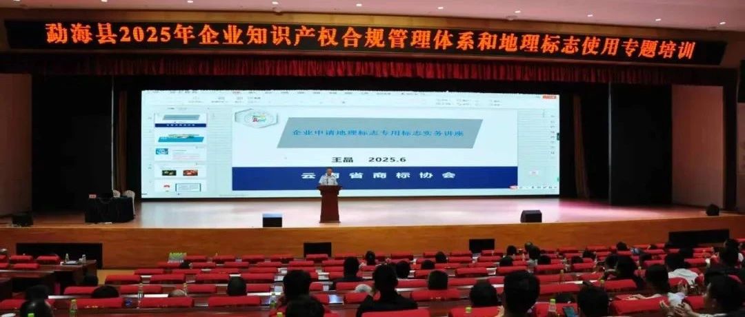 【协会动态】云南省商标协会会长王晶受邀参加勐海产业园区知识产权专题培训活动